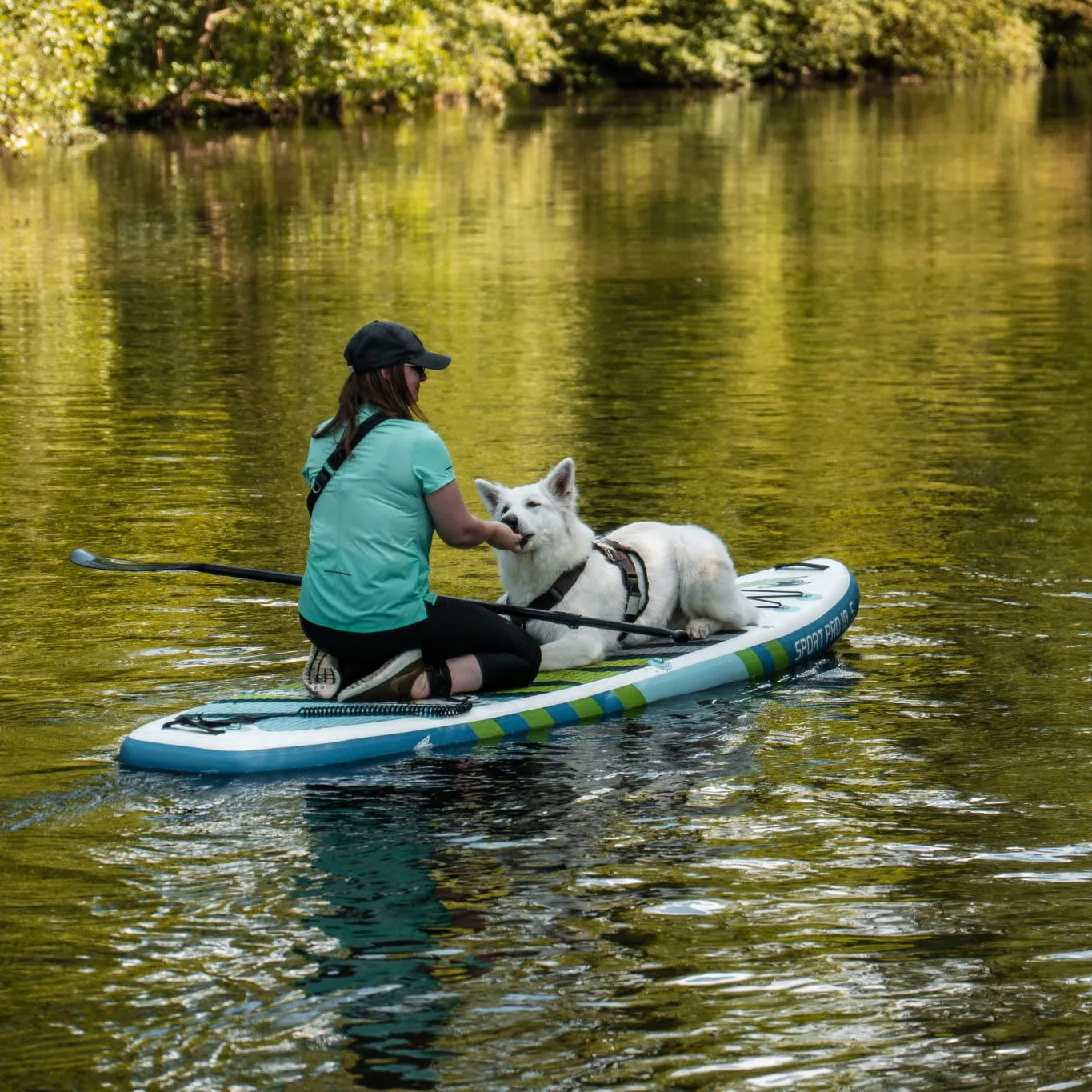 Cani-paddle avec un chien