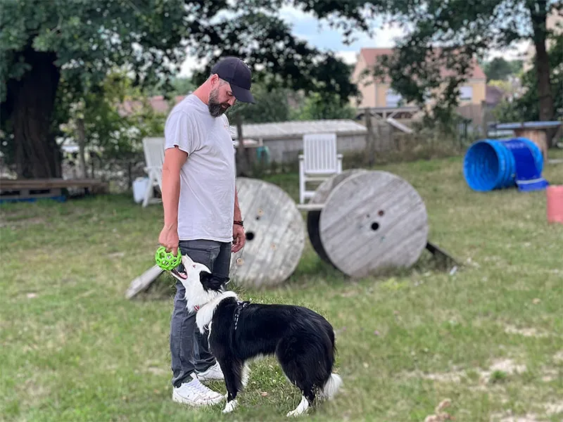 Séance d'éducation canine