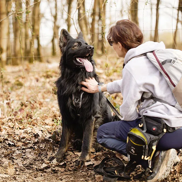 Éducateur canin en séance — Charly's Dogs