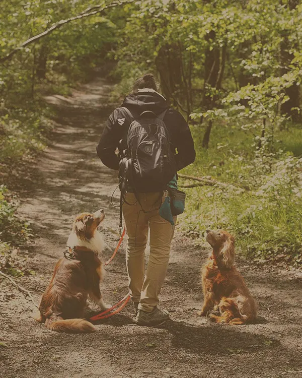 Éducateur canin en séance avec un chien