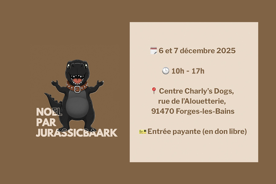 Affiche du marché de Noël canin caritatif Charly's Dogs et Jurassicbaark